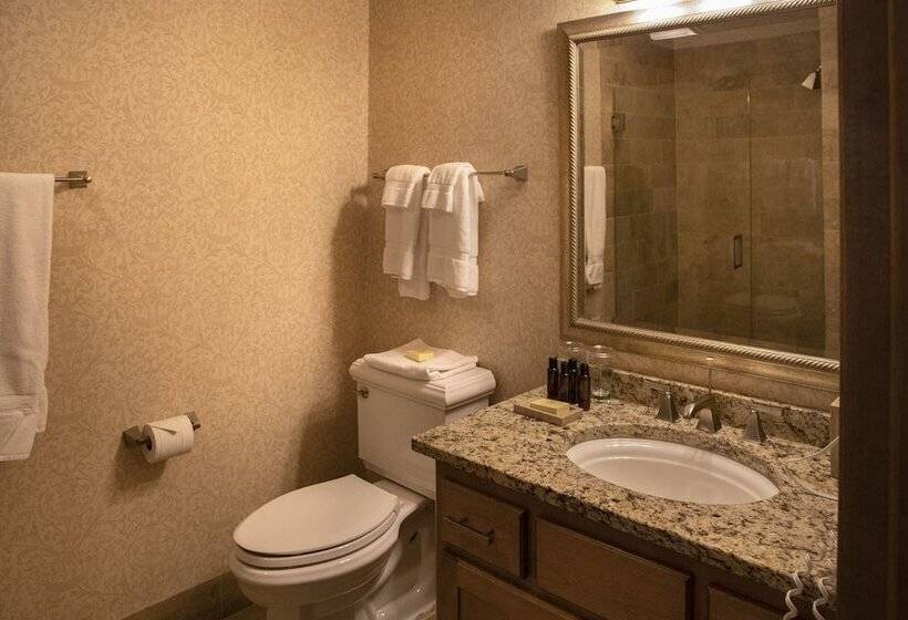 فندق The Osthoff Resort