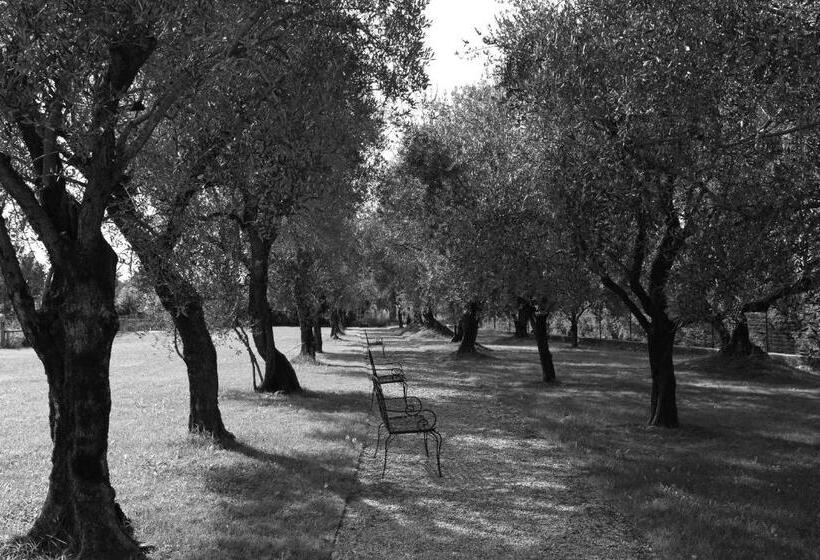 Отель Villa Ca' Sette