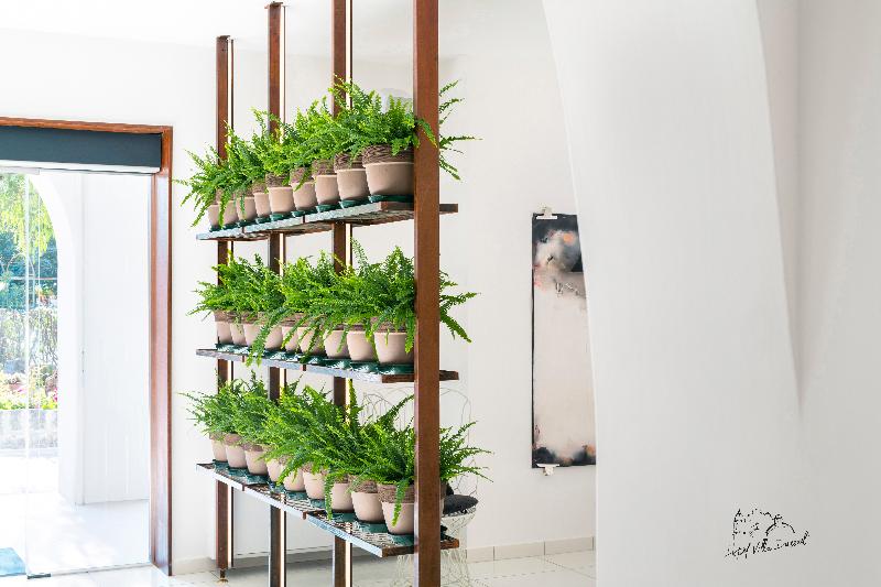 فندق Villa Durrueli Resort & Spa