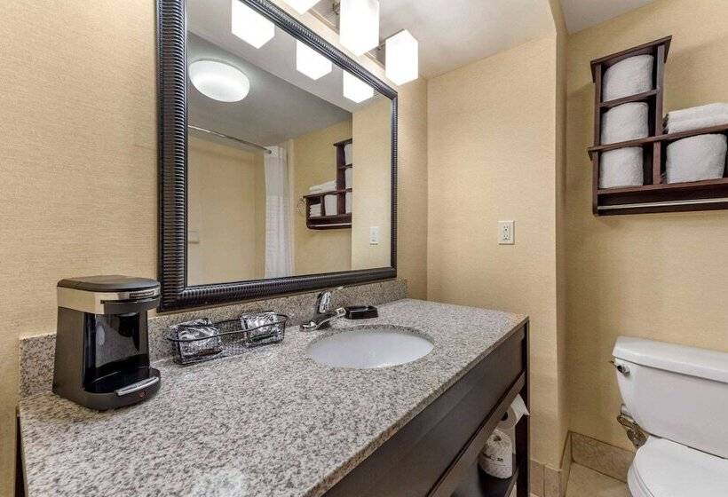 호텔 Wingate By Wyndham Buckhannon