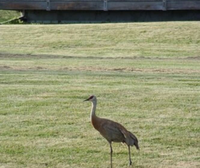 汽车旅馆  The Ocean Shores