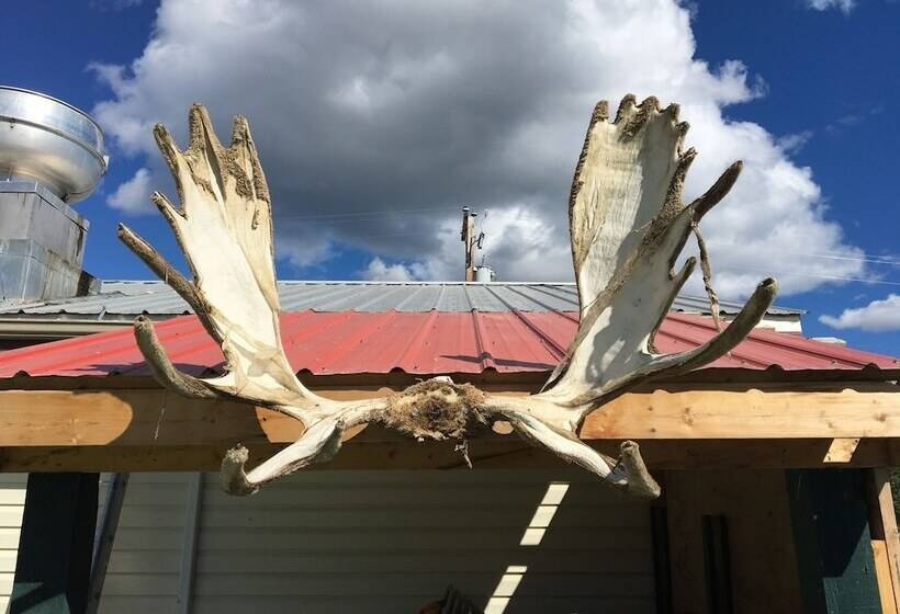 فندق صغير Kluane Park Inn