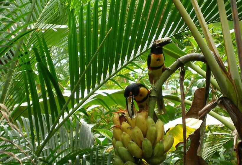 مبيت وإفطار El Colibri Lodge