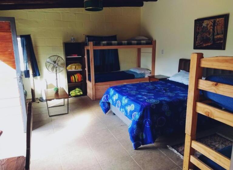 הוסטל Social Club La Cueva