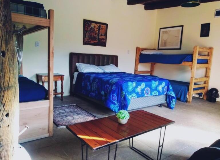 הוסטל Social Club La Cueva