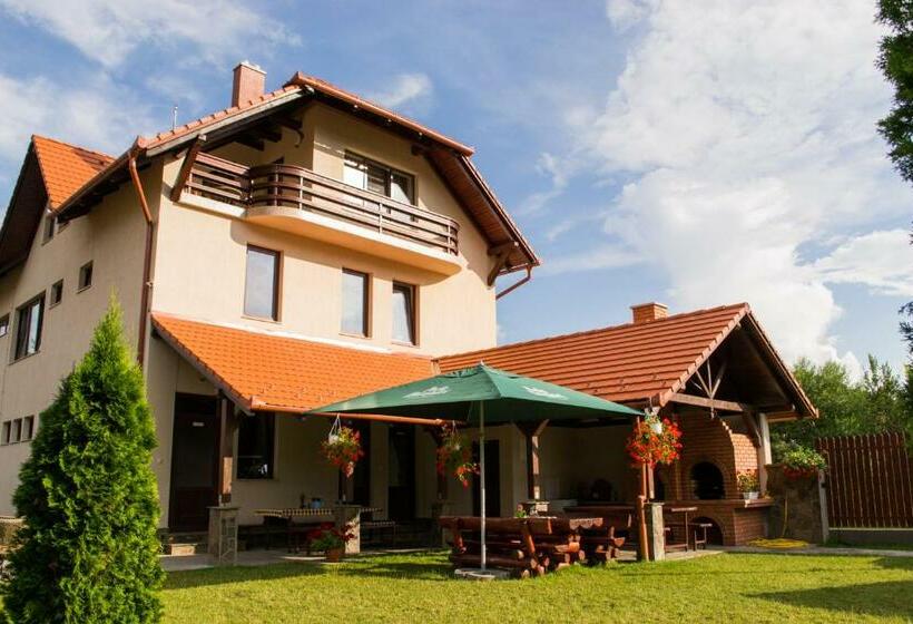 Csatári Pensiune Praid