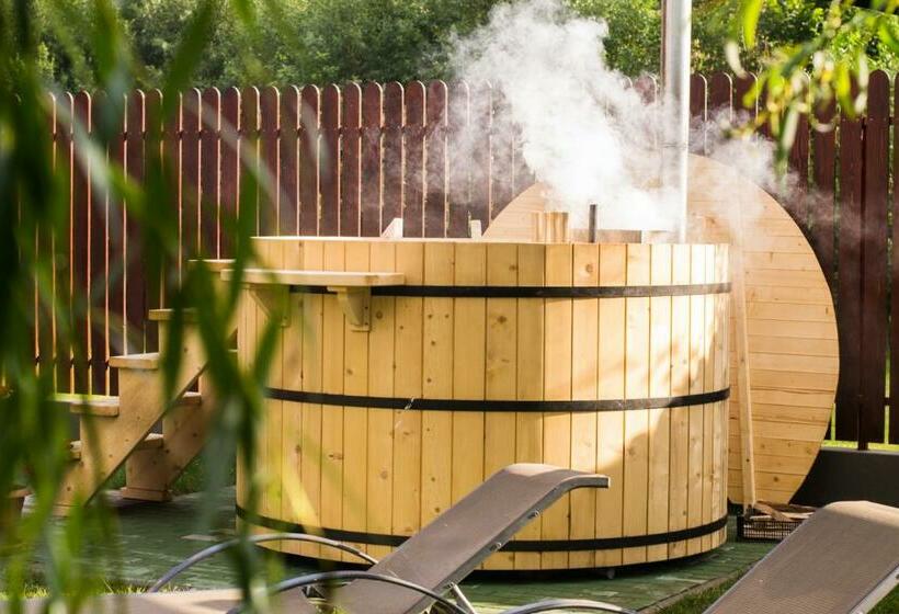 Csatári Pensiune Praid