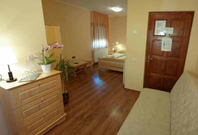 Csatári Pensiune Praid