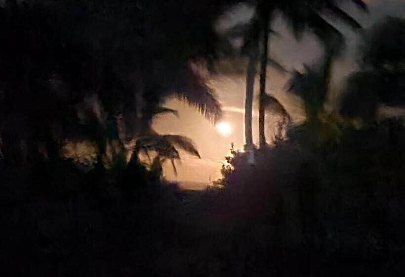 酒店 Cabinas El Muellecito