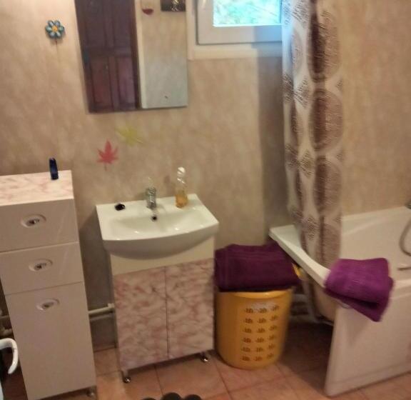 בית מלון כפרי Casa Piscul Lupului