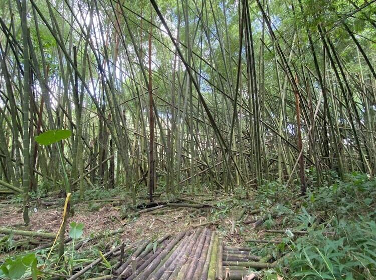 Finca Hotel Monte Paz