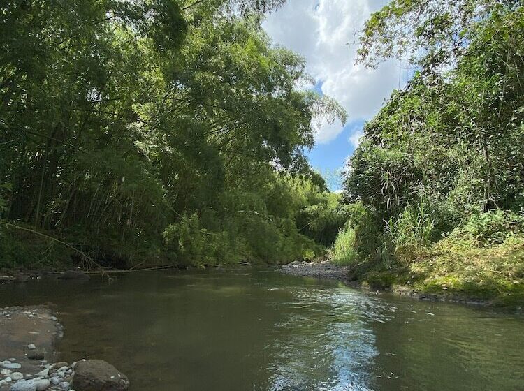 Finca Hotel Monte Paz