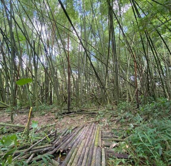 Finca Hotel Monte Paz