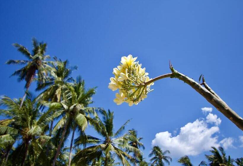 צימר Kubu Artha Bungalow Nusa Penida