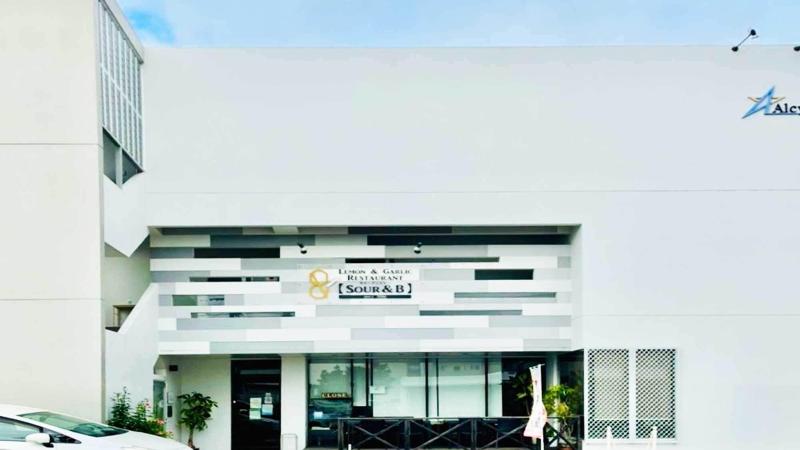 Hoshino Terrace Alcyone Ii