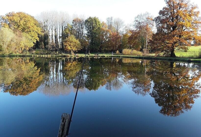 ホテル Cabane Dans Les Arbres   Tree House