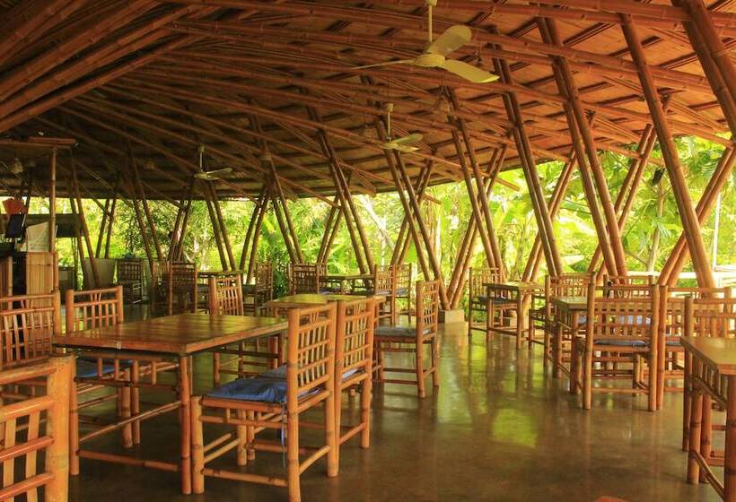 בית מלון כפרי Hanchey Bamboo Resort