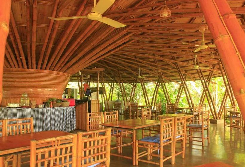 בית מלון כפרי Hanchey Bamboo Resort