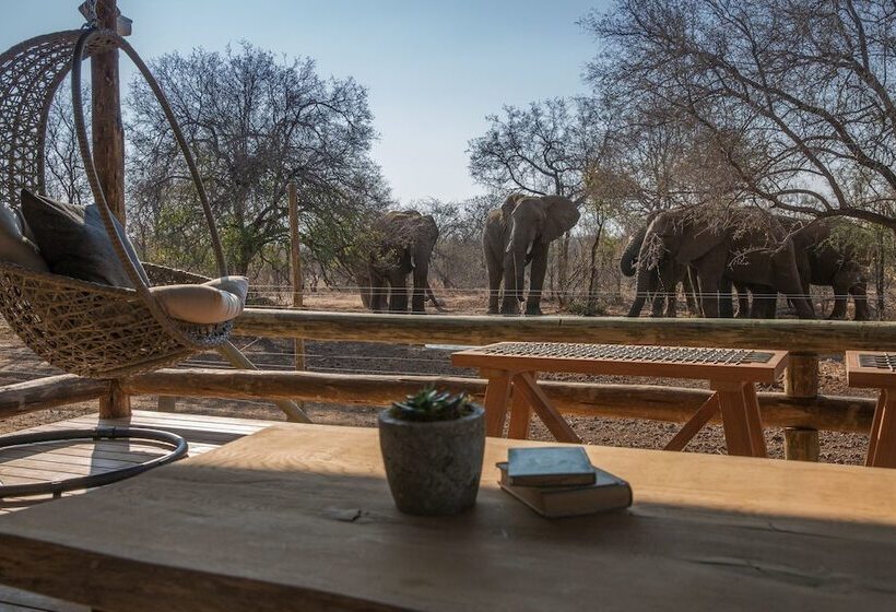 ホテル Nkala Safari Lodge