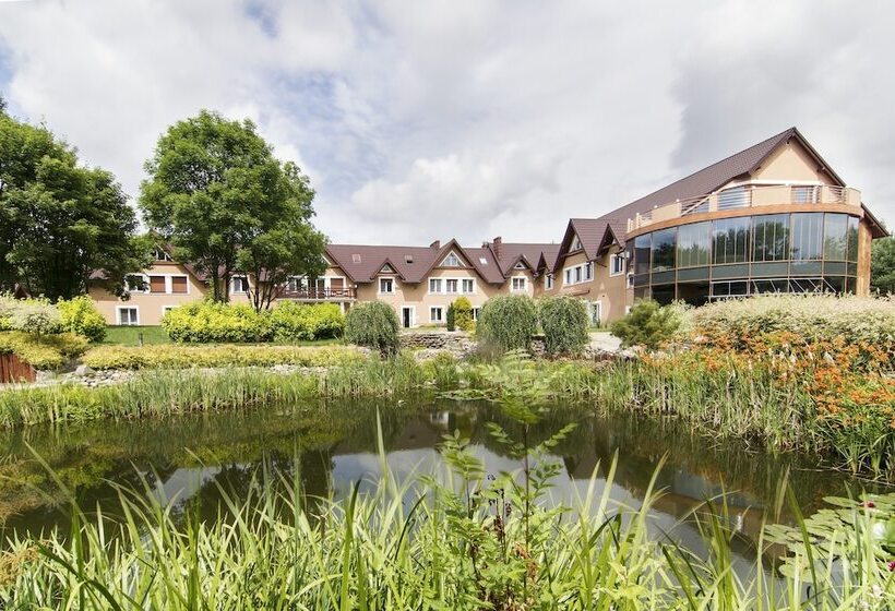 Отель Pory Roku