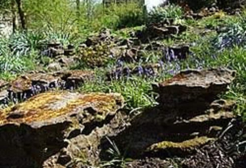 ホテル Royal Mjs Pinjore