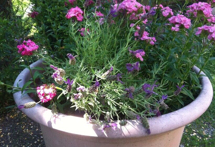 בית מלון כפרי Cascina Zenevrea