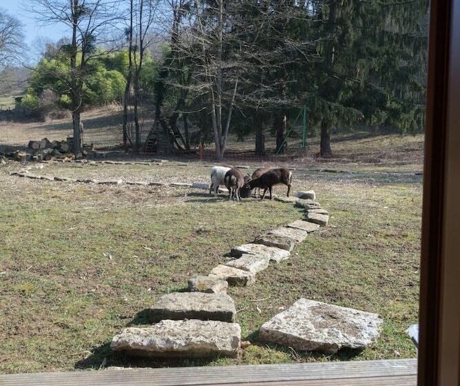 호텔 Tonn Ain Hébergement Ain Solite