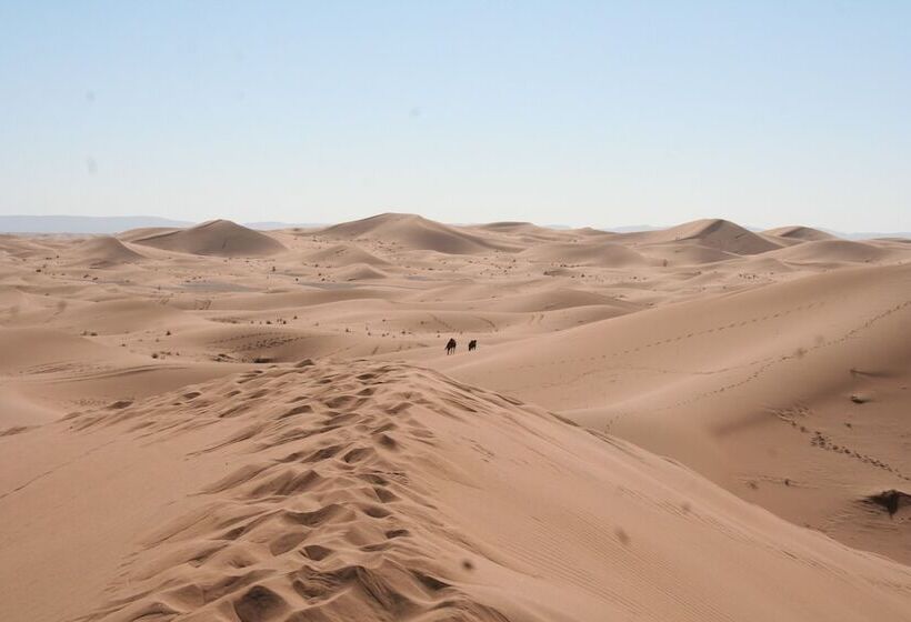 فندق Zagora Desert Camp