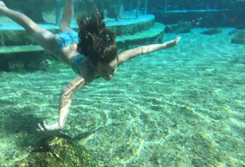 Original Trips   Hotel Turismo