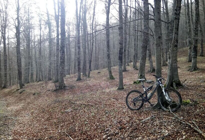 펜션 Casa Albergo Tiroasegno