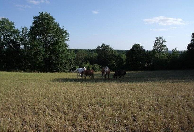 פנסיון Maison D Hote Le Relais De Morville