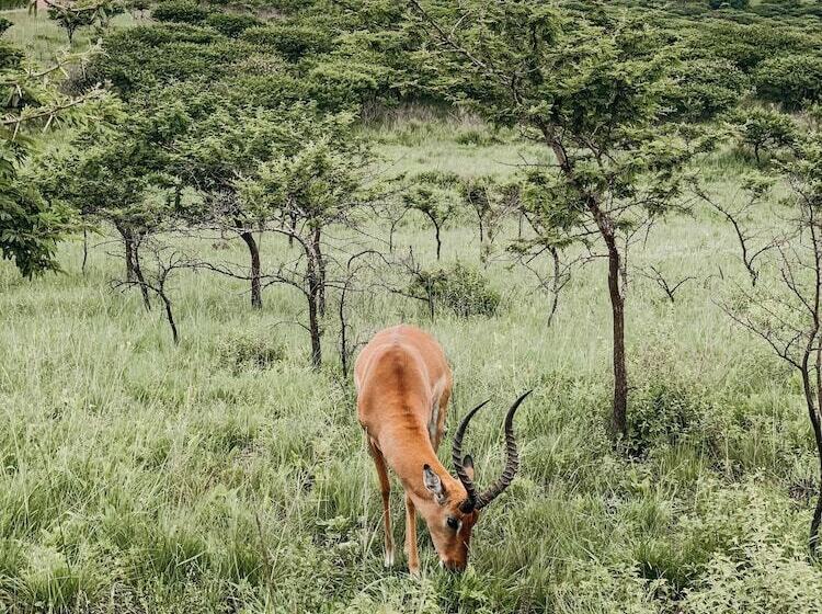 Bed and Breakfast Casa Villa Guest House