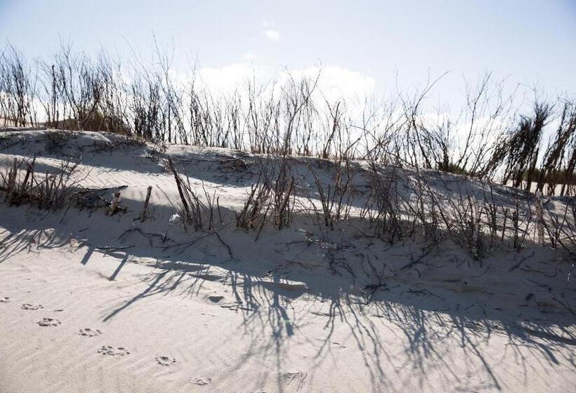 ベッドアンドブレックファースト Inselhotel Ihnken