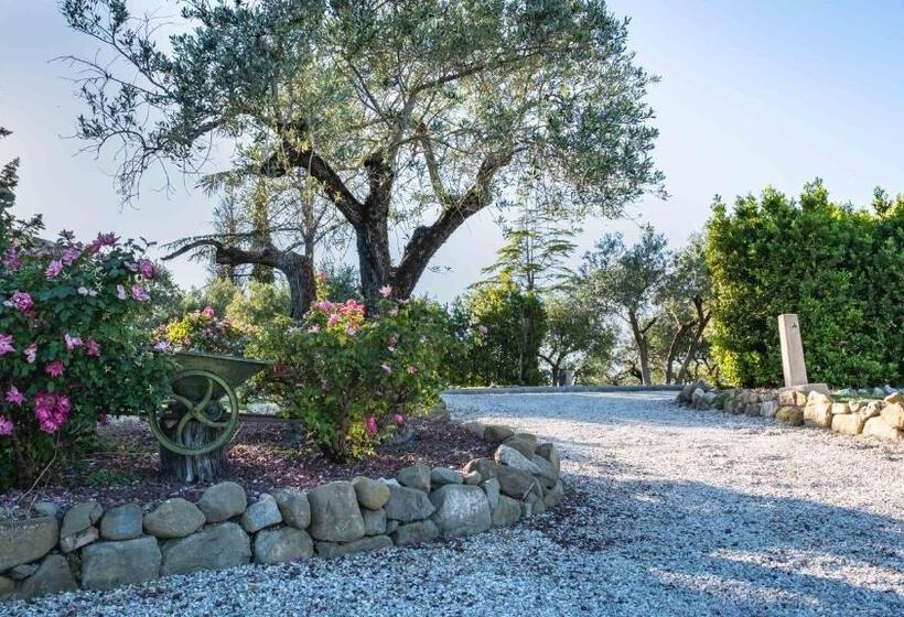 مبيت وإفطار La Dolce Vista Bed&breakfast