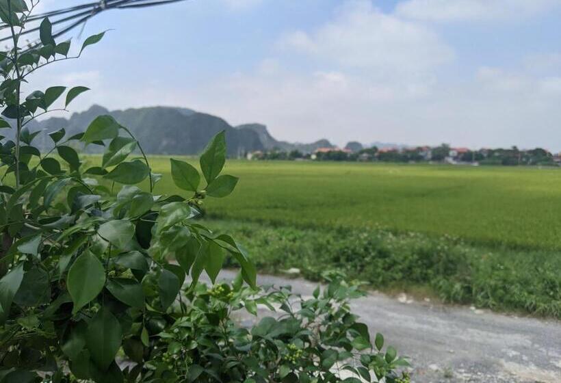 تختخواب و صبحانه ᴛᴀᴍ ᴄᴏᴄ ᴄᴏᴄᴏᴏɴ ʜᴏᴍᴇsᴛᴀʏ