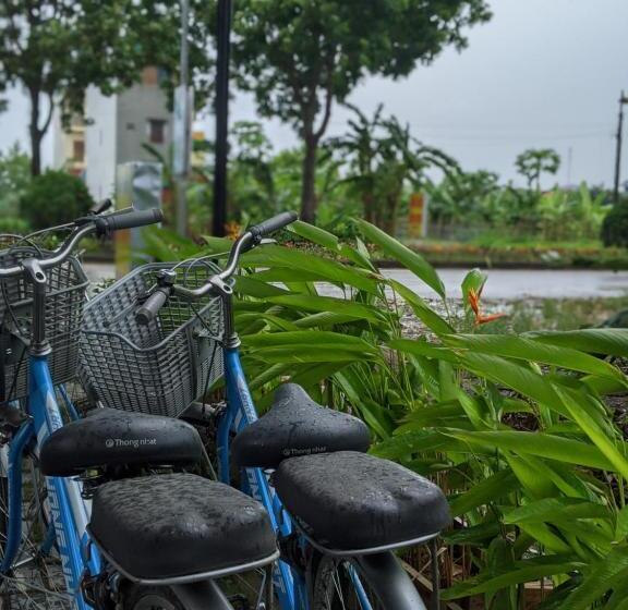 تختخواب و صبحانه ᴛᴀᴍ ᴄᴏᴄ ᴄᴏᴄᴏᴏɴ ʜᴏᴍᴇsᴛᴀʏ