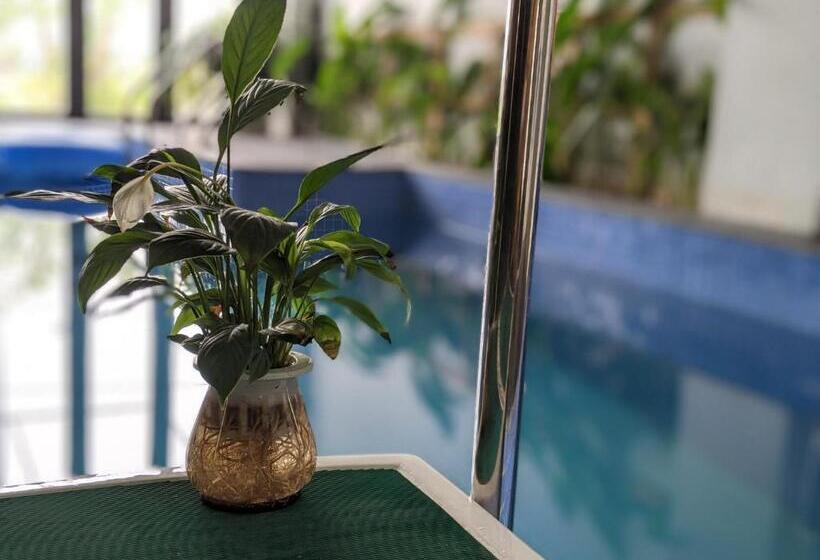 تختخواب و صبحانه ᴛᴀᴍ ᴄᴏᴄ ᴄᴏᴄᴏᴏɴ ʜᴏᴍᴇsᴛᴀʏ