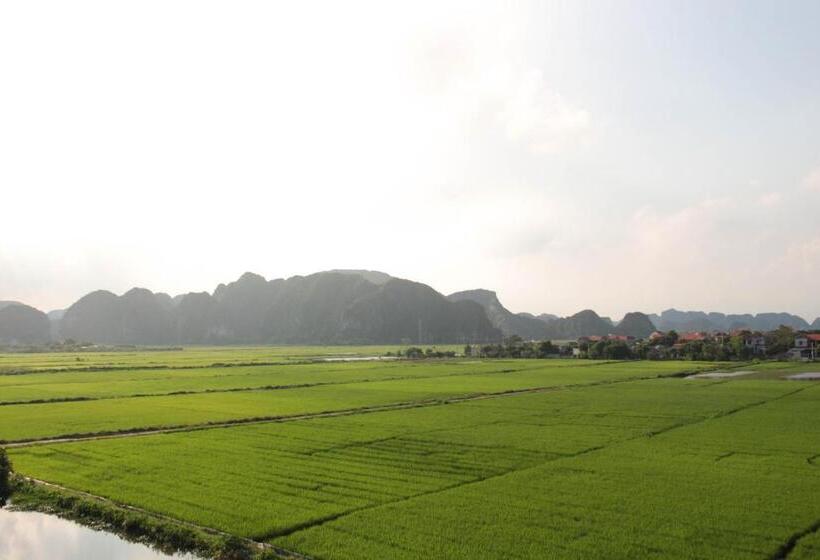 تختخواب و صبحانه ᴛᴀᴍ ᴄᴏᴄ ᴄᴏᴄᴏᴏɴ ʜᴏᴍᴇsᴛᴀʏ