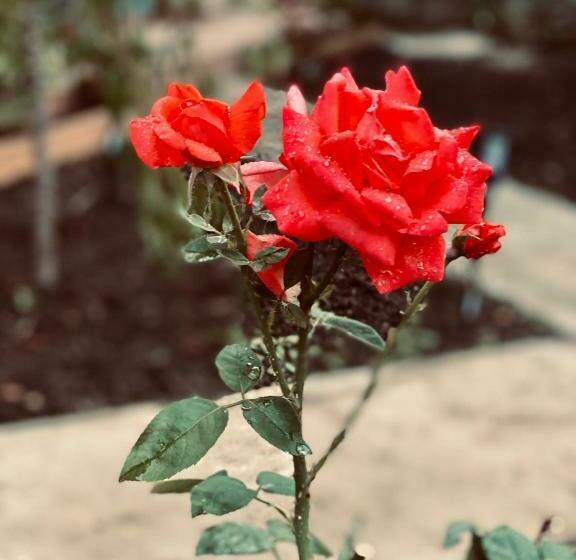 Hestia   Hotel, Wine And View