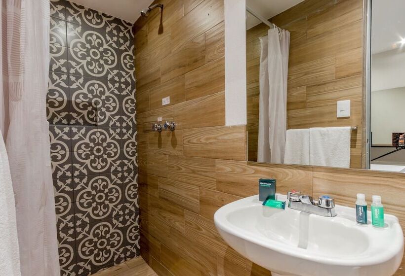 酒店 Ayenda Continental Mexicano