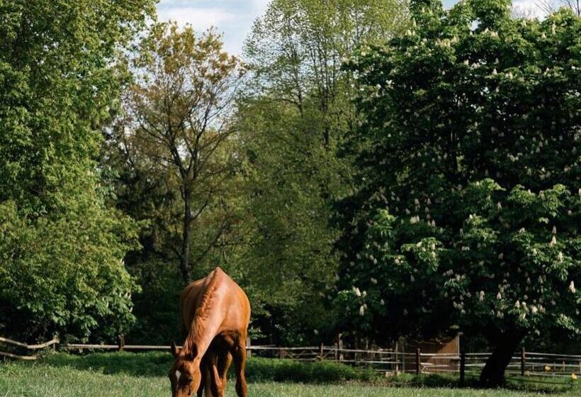 Отель Hôtel Demeures De Campagne Domaine De Maffliers   Paris Val D Oise