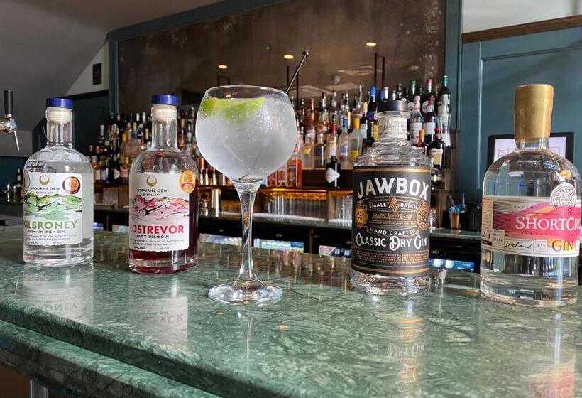 Отель Hillyard House