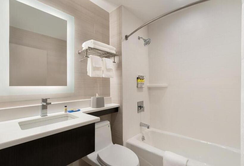 호텔 Holiday Inn Express   Jamaica   Jfk Airtrain   Nyc, An Ihg