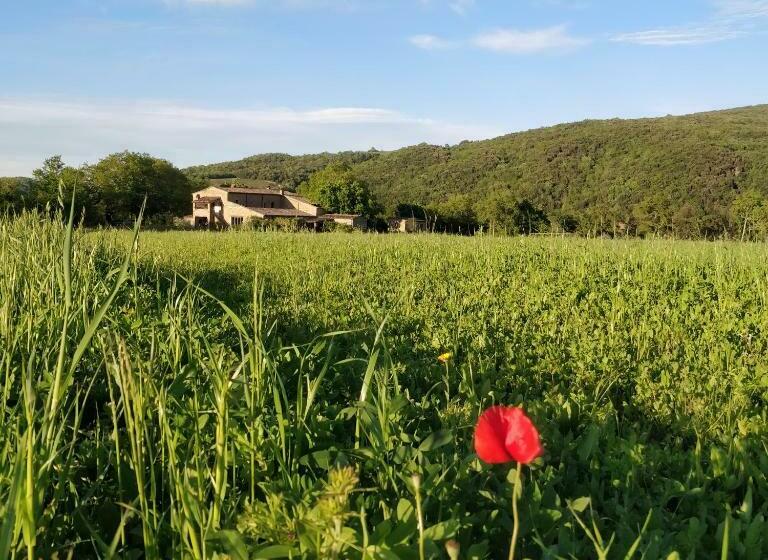 בית מלון כפרי La Casa   Agriturismo With Pool Between Siena And Grosseto