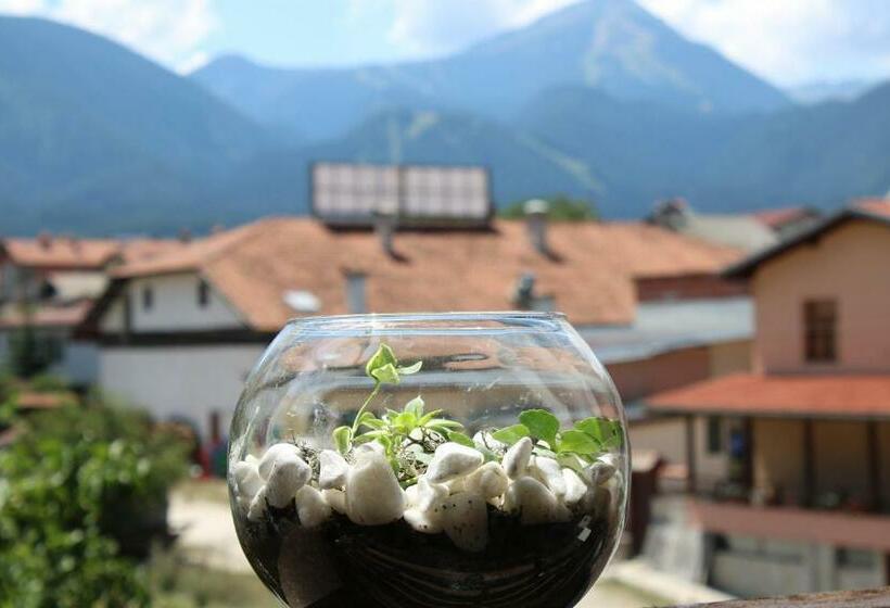 ホテル North Star