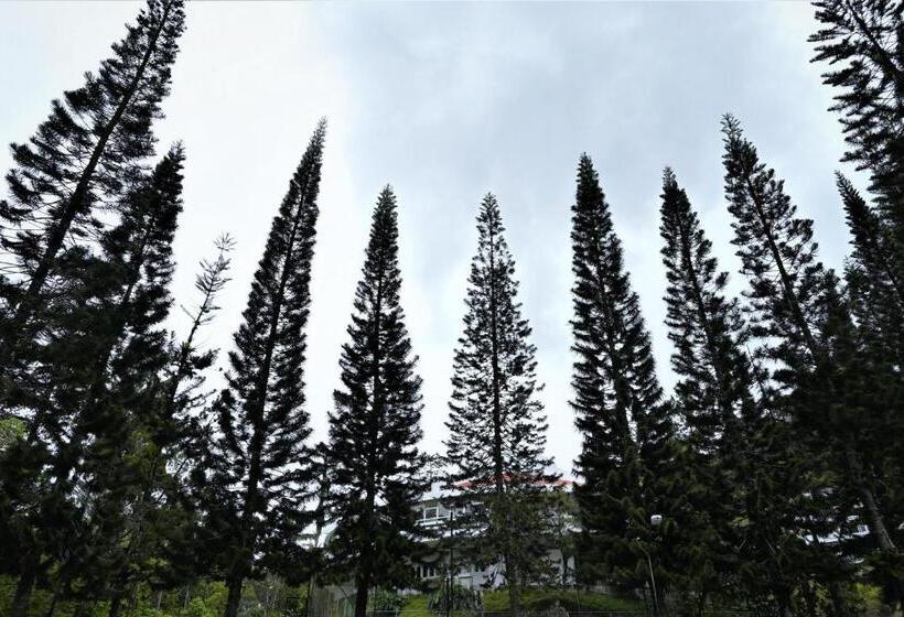 فندق The Pines At Fraser S Hill, Malaysia