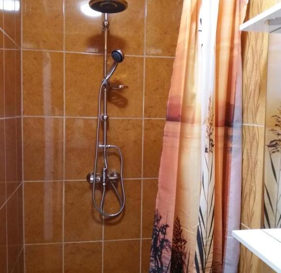 פנסיון Ezüstfenyő Vendégház