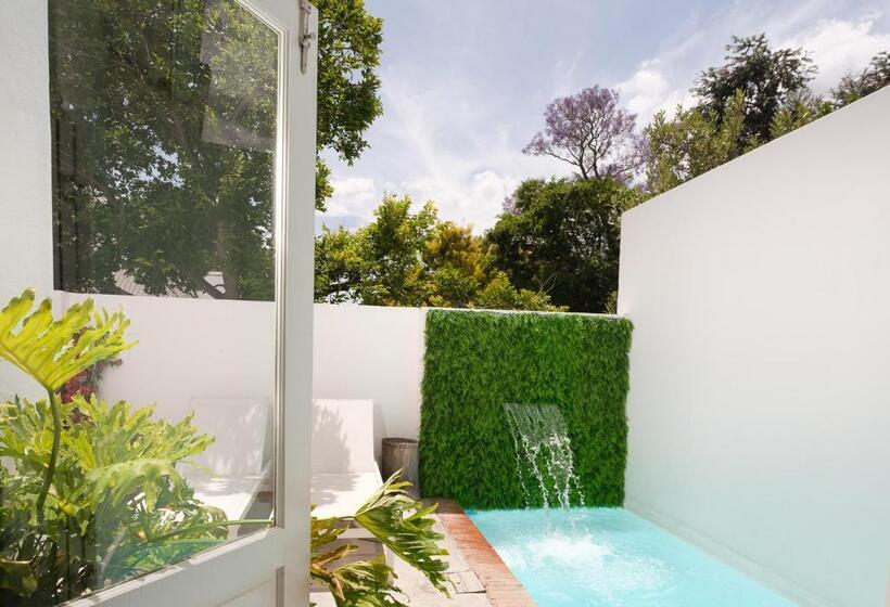 پانسیون Franschhoek Maison Du Cap