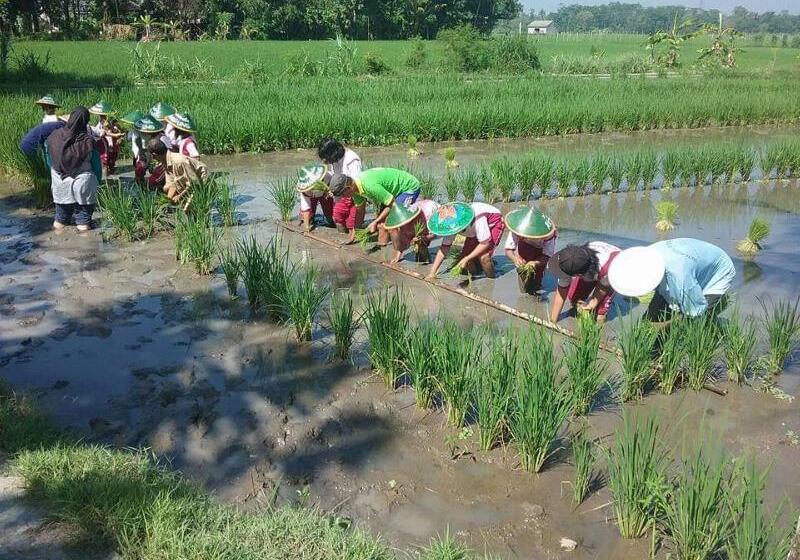 ペンション Gini Homestay