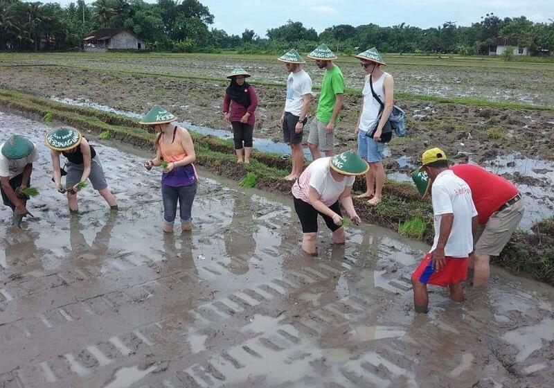 ペンション Gini Homestay